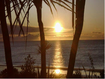 Reflections on Corona and Easter – Taking Care of Paradise