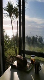 Reflections on Corona and Easter – Taking Care of Paradise